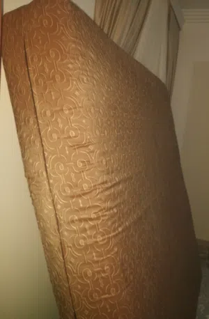 فراشات طبية زوجية