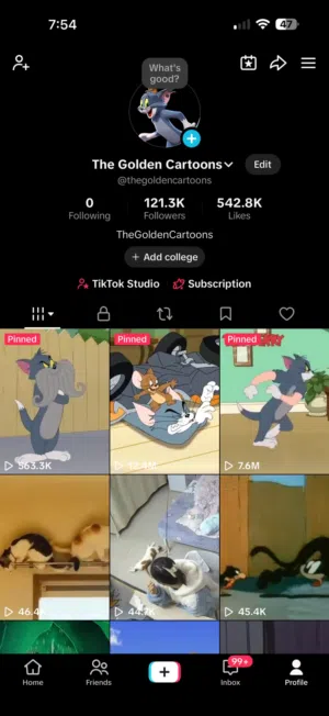 TikTok account 121k