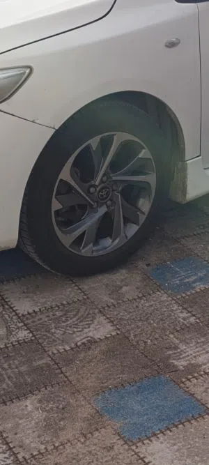 مطلوب ويل كب كورلا 16 نفس الي بالصورة حتة لو واحد