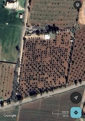 Farm Land for Sale in Amman Al-Khadra'