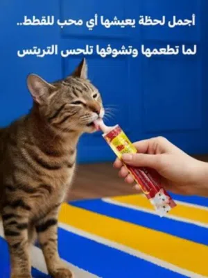 مكافات قطط