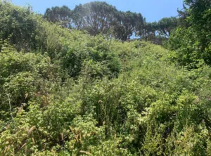 Land for Sale in Aabey – 750 m2  Scenic Mountain Views  Road Access