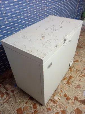 مجمدة للبيع