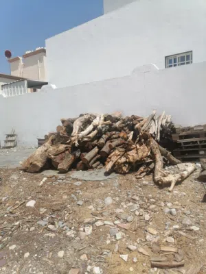 حطب شريش + رول ممتاز