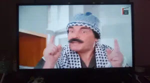 تلفزيون وانسا