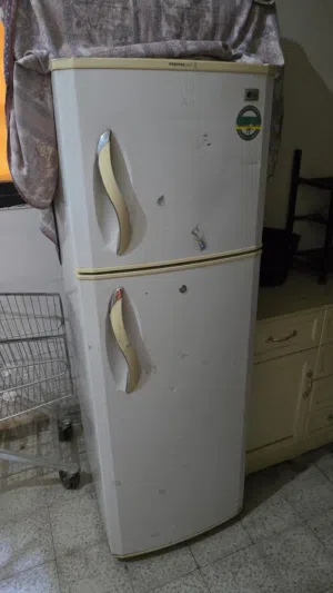 LG expresscool fridge