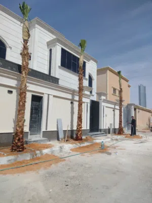 نخيل واشنطني ابومروحه درجه اولى