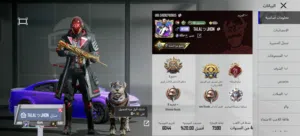 Pubg Accounts and Characters for Sale in Ajman