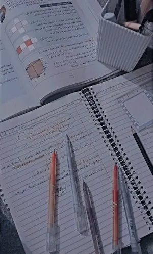 Tutoring . Other1