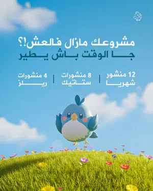 إدارة صفحات تيك توك وإنستغرام + إنشاء المحتوى والإعلانات الممولة