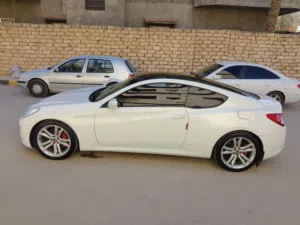 جينيسس كوبيه درجه اولي