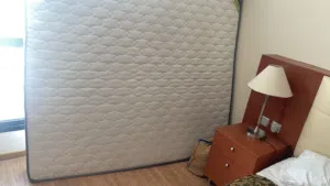 Medicated Hard Matress for Sale (Sparingly used)