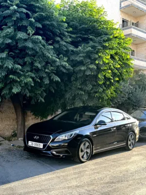 Used Hyundai Sonata in Amman