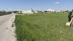 Residential Land for Sale in Amman Airport Road - Madaba Bridge