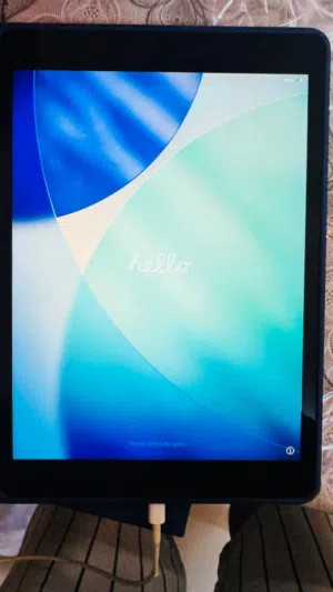 Apple iPad 9th Generation 256GB, WIFI-Only, 10.2 inch