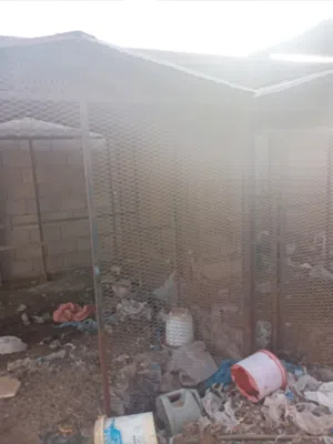 اقفاص حديدبكلاوةوللبيع 3ظروف