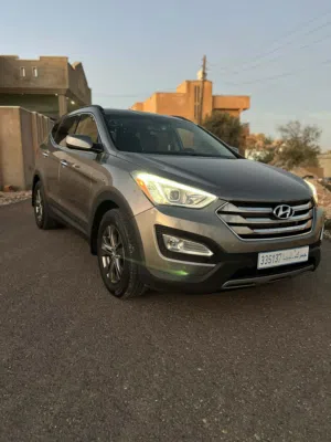 سنتافي sport