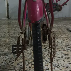 محمد