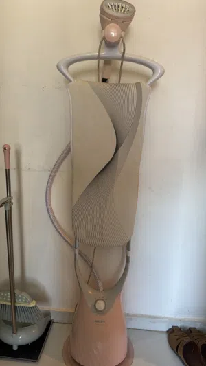 Philips steamer