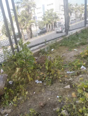 100 m2 2 Bedrooms Apartments for Rent in Amman Al Bayader