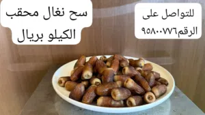 تمر نغال محقب الكيلو ب ريال فقط
