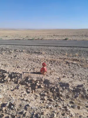 مشروع محفضت الكرك قصور بشير القطرنه