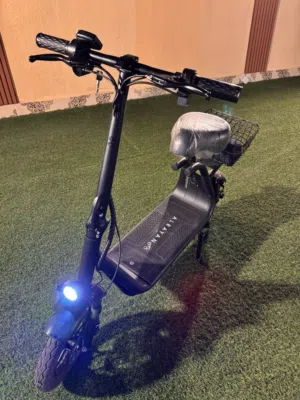 Electric scooter