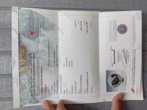 lilbaye khatam fadah shajariun tabieiun tuhfat mae shahadih yali yadur alnaadir sier 300.dinar