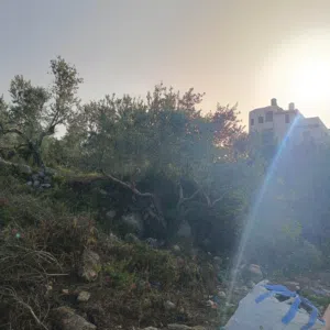 Residential Land for Sale in Tulkarm Anabta