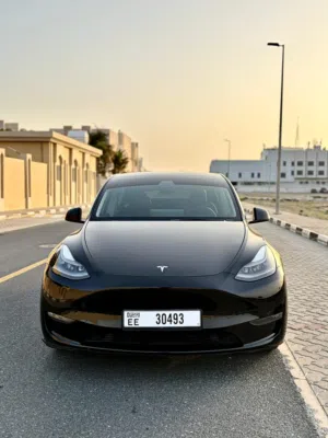 2023 Tesla Model Y Performance AWD GCC Spec
