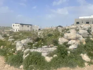 ارض للبيع نص دونم 500 متر مربع