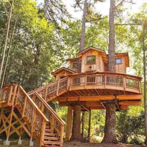 علي الحاكم