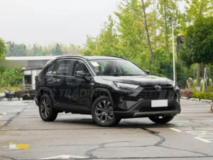 *Toyota RAV4/hybrid 2025 zero km