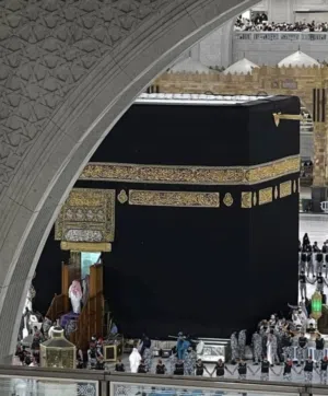 مشاركة سكن