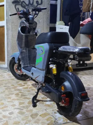 عباس احمد 