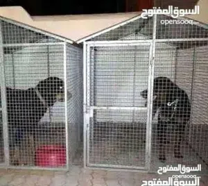 بيوت كلاب جيرمان روت وايلر حديد وشبك للحجز...