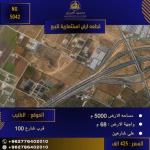 رقم الأعلان (5042) قطعة ارض للبيع في الطنيب تصلح لعمل شاليهات او مشروع