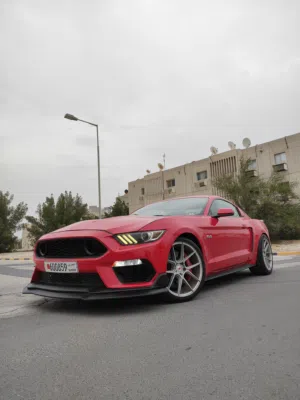 Mustang GT Performance package برفورمنس بكج موستنق جي تي