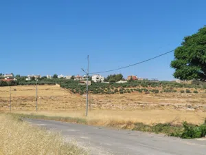 أرض للبيع ام البرك بيت زرعة  .......................................................................