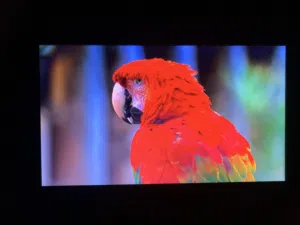 شاشةLG للبيع اقرأ الوصف