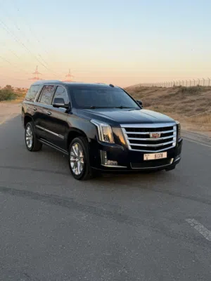 Used Cadillac Escalade in Dubai
