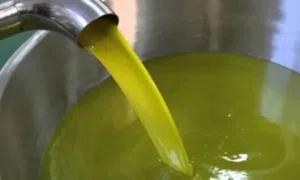 زيت زيتون المثلث الأخضر - جودة طبيعية من قلب شمال سيناء! نقدم زيت زيتون بكر ممتاز، دقة زعتر أصيلة