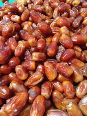 اجود انواع التمور