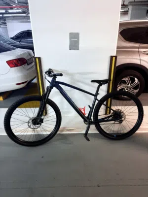 Rockrider expl540 29"