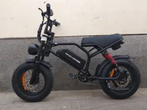 V8 Mini Electric Bike 750W Motor (1255W Peak Power) – 48V 15.6Ah Battery, 50KM/H Speed, 60KM Range,