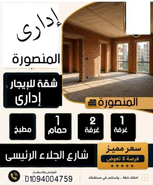 75 m2 2 Bedrooms Apartments for Rent in Mansoura Galaa Street