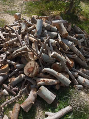 متوفر نص طن حطب قرامي مقصوص جاهز للصوبة والفير بليس