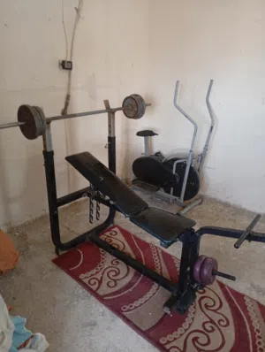 عدد رياضه محليه