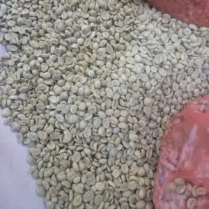 علي عبدالله الجرو 