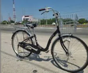 Excellent bicycle. No expenses required. Used lightly for my personal use. It's inexpensive for me.